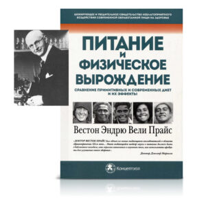 AUTO-DRAFT Медведь и Слон